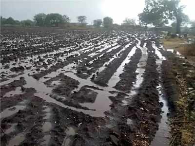 ગુજરાતના વાતાવરણમાં પલટો: દેવભૂમિ દ્વારકા અને દાહોદમાં વરસાદ પડ્યો 